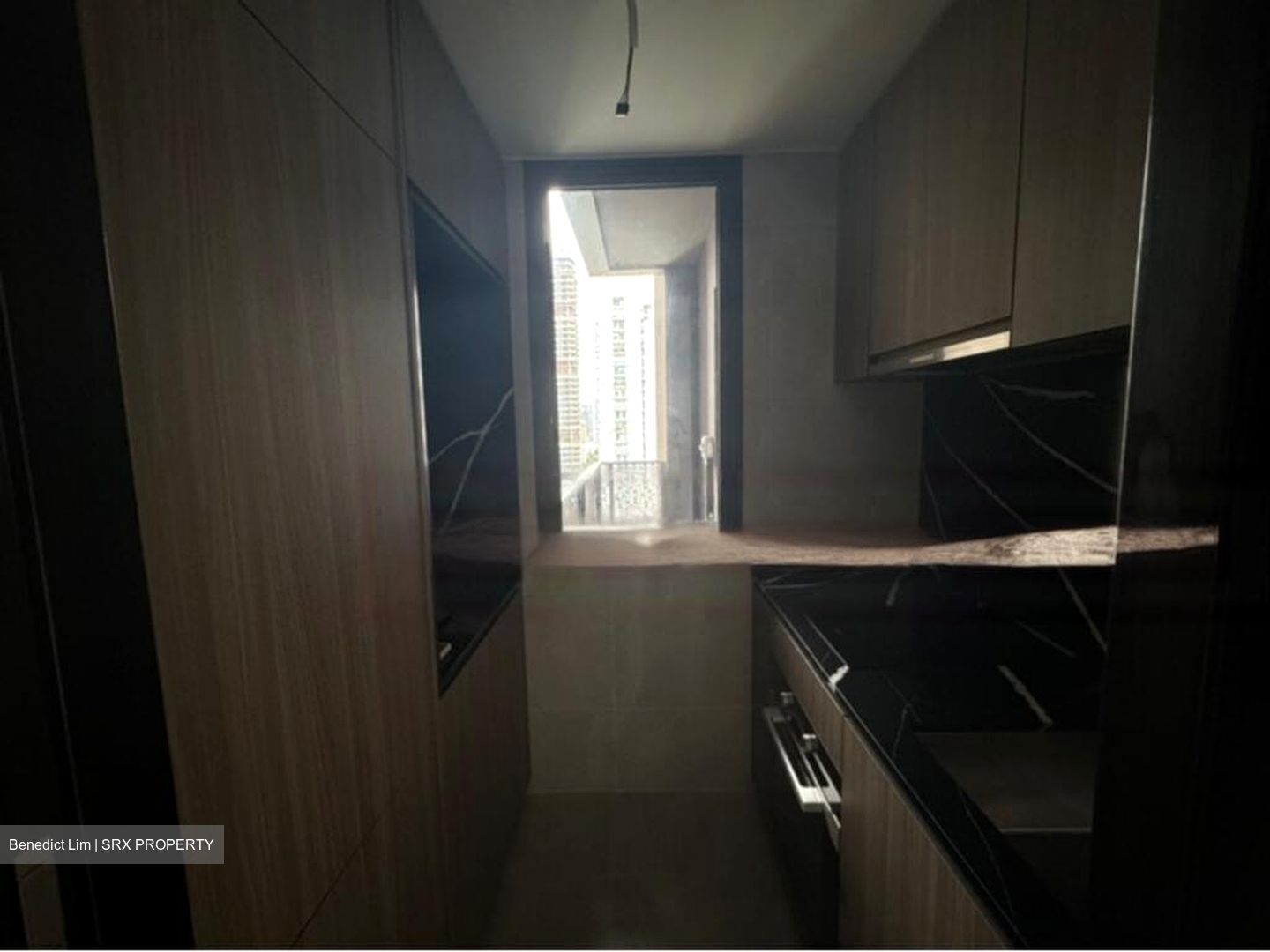 Irwell Hill Residences (D9), Apartment #450254821